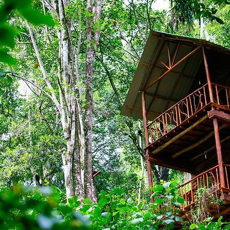 Ella Ecolodge Luaran gambar
