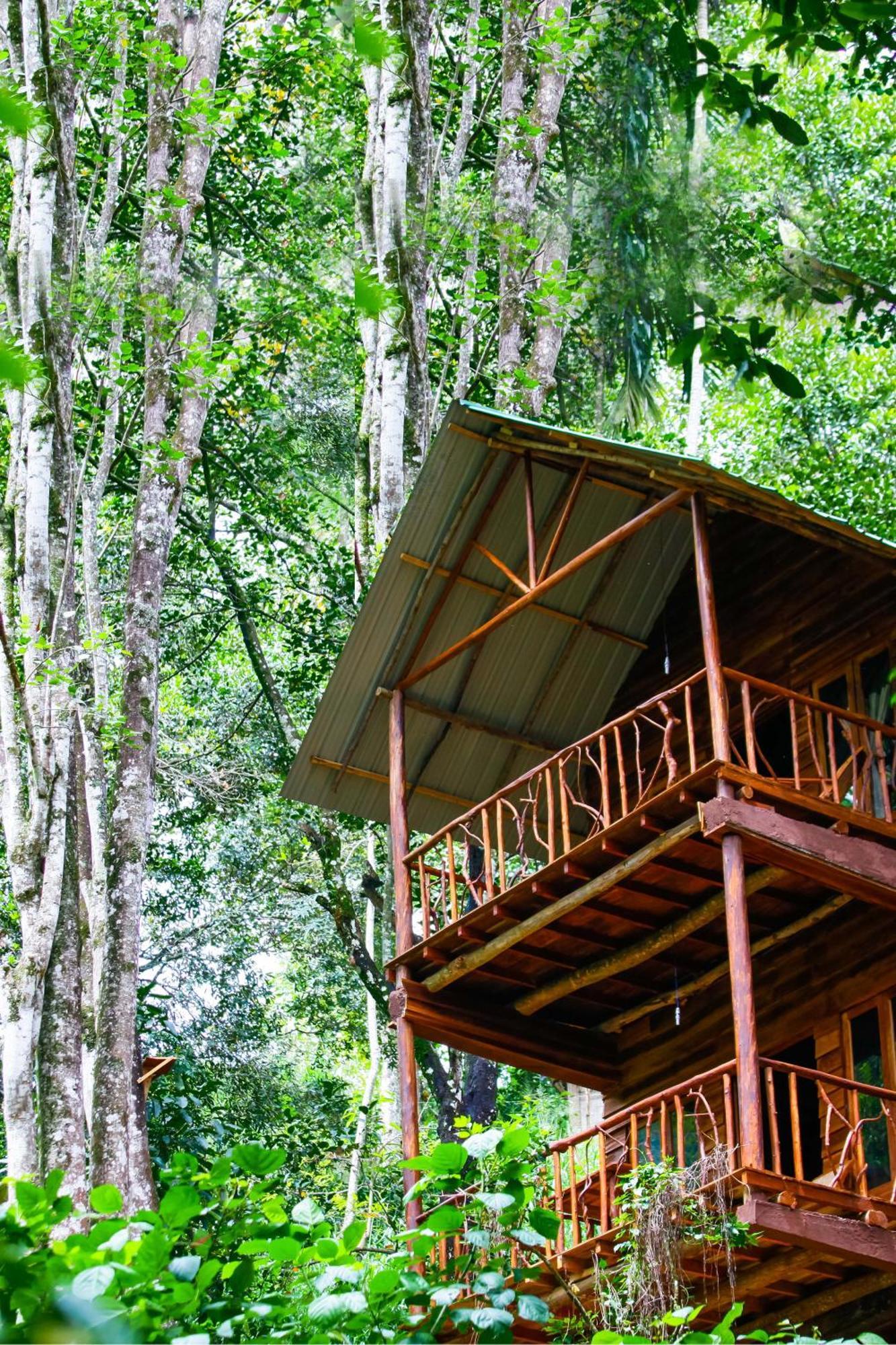 Ella Ecolodge Luaran gambar