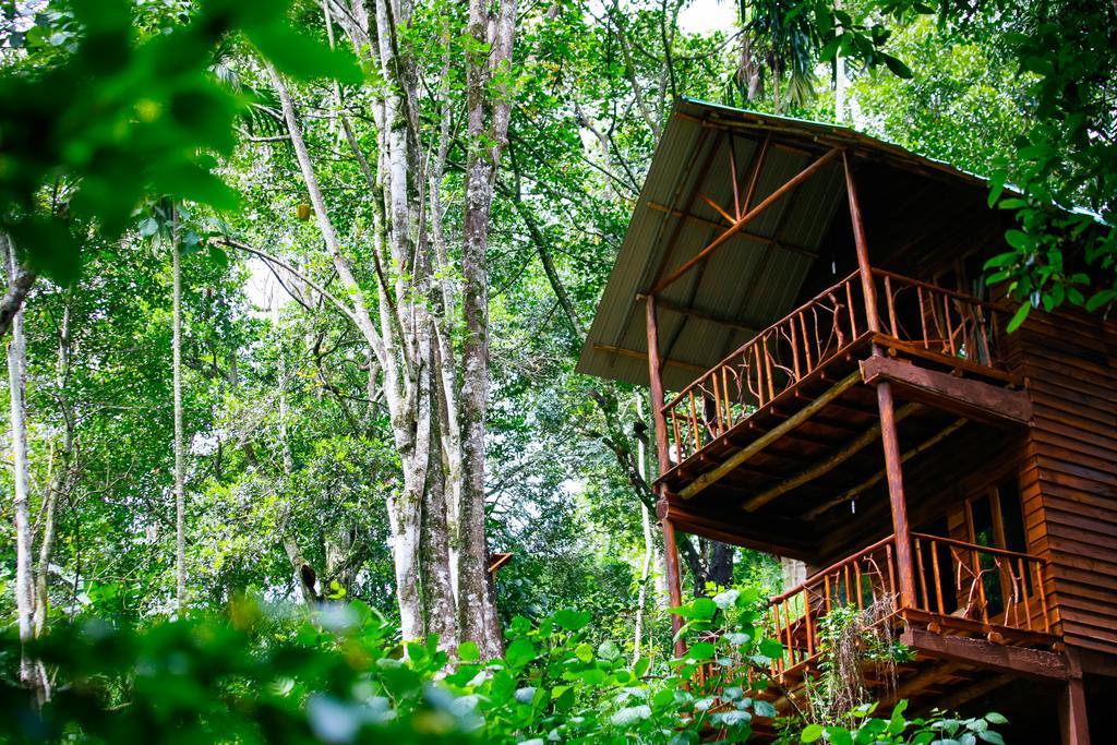 Ella Ecolodge Luaran gambar