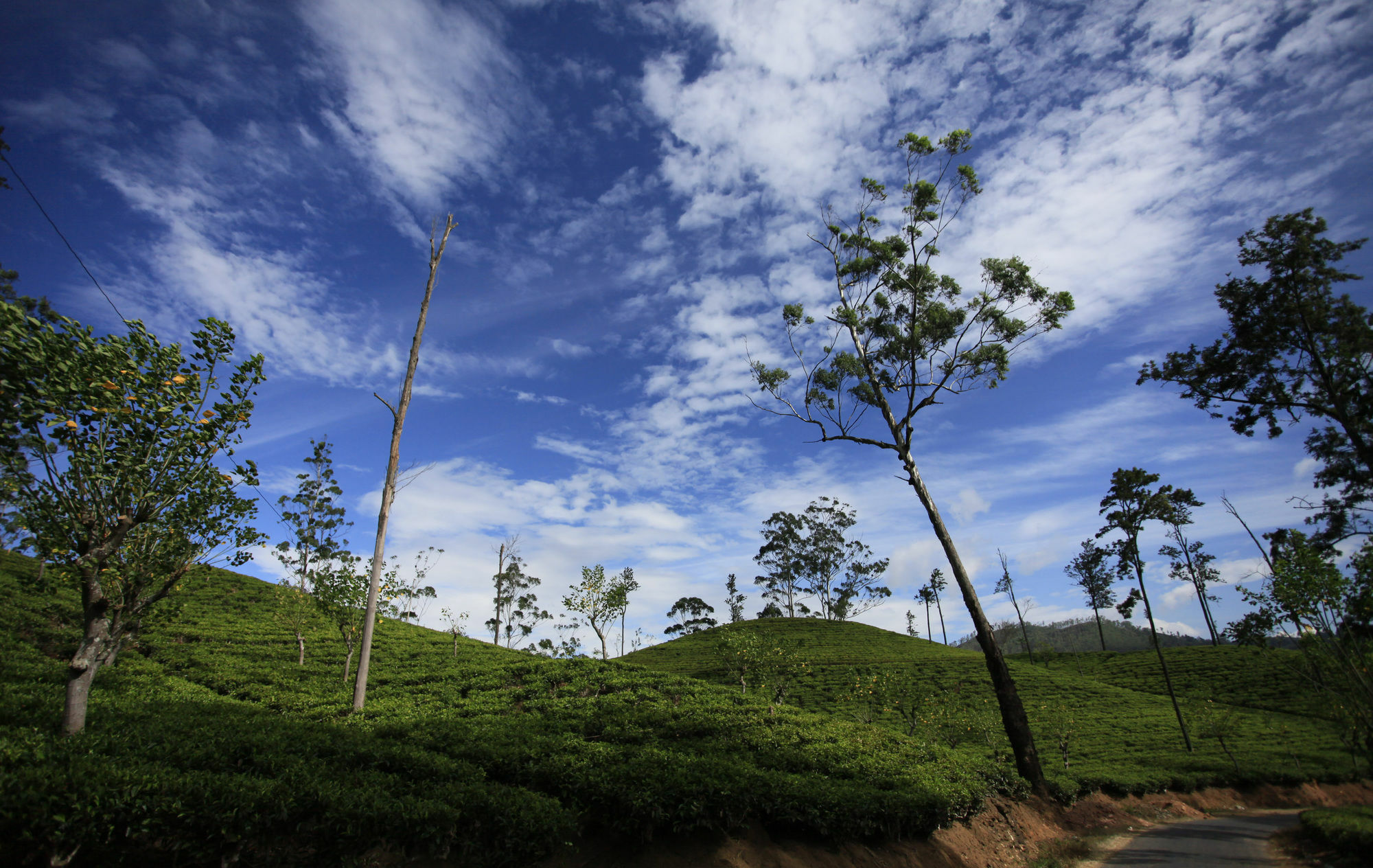Ella Ecolodge Luaran gambar