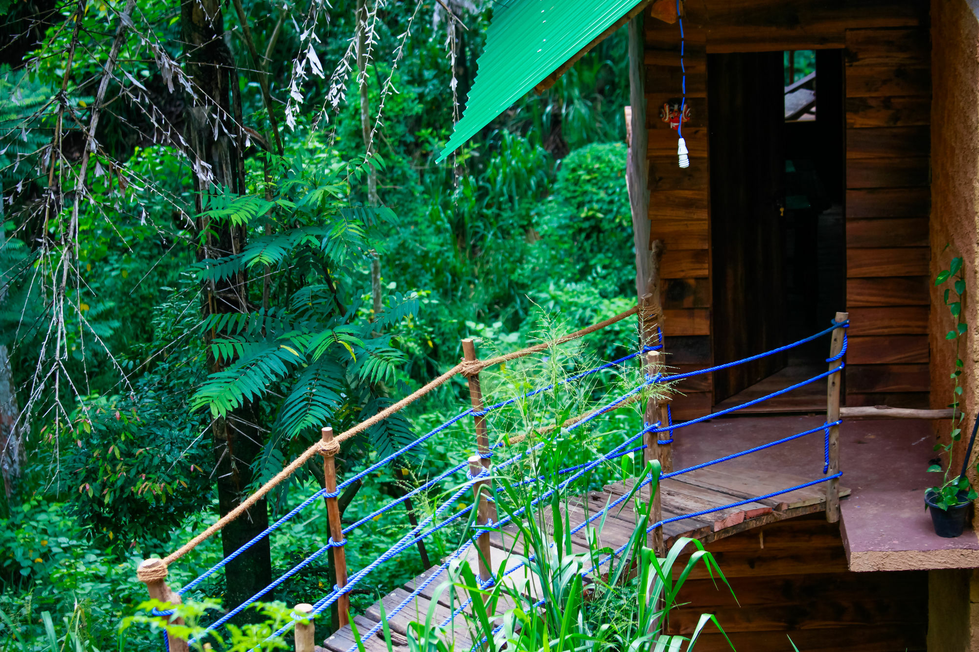 Ella Ecolodge Luaran gambar