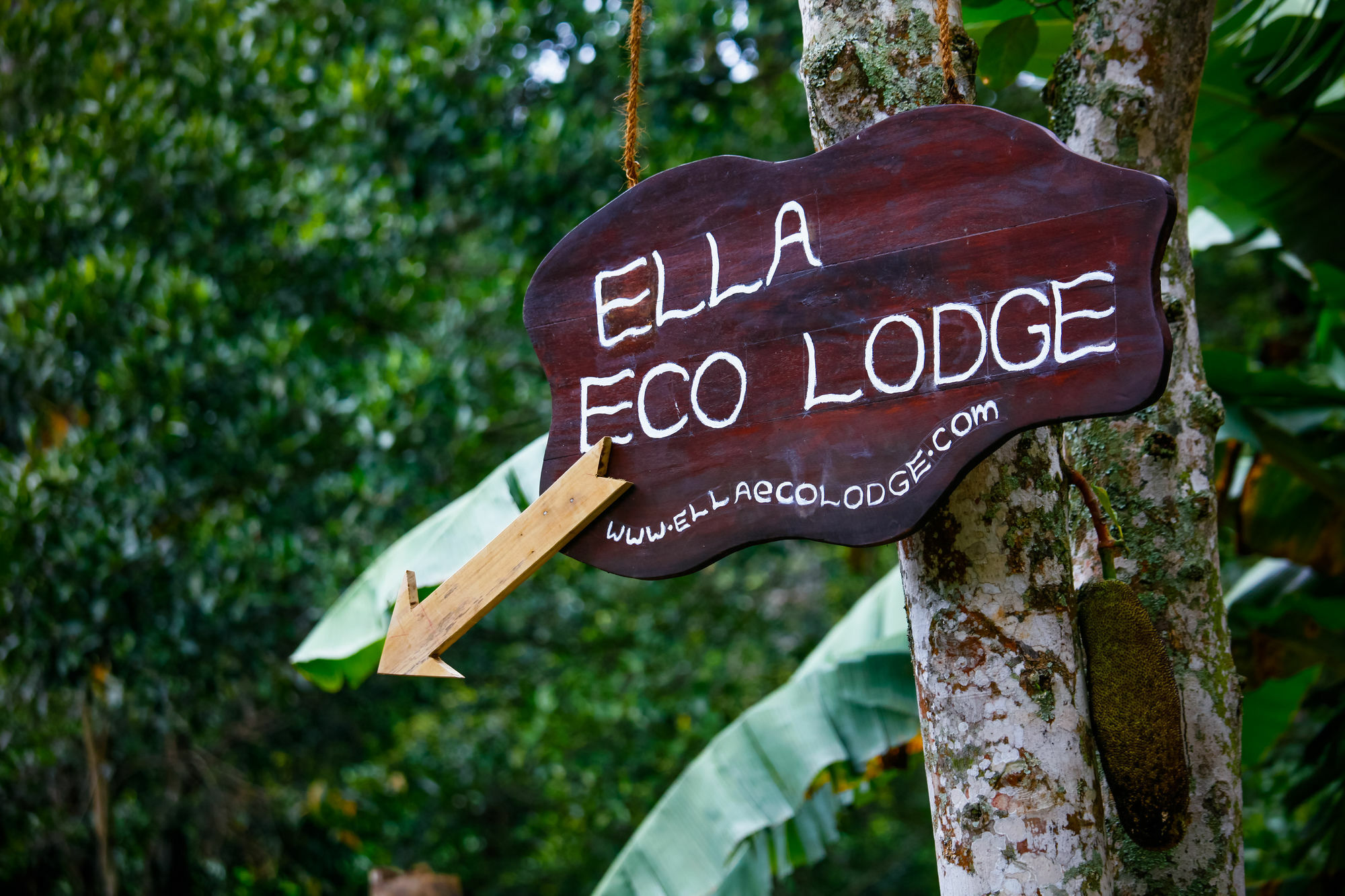 Ella Ecolodge Luaran gambar