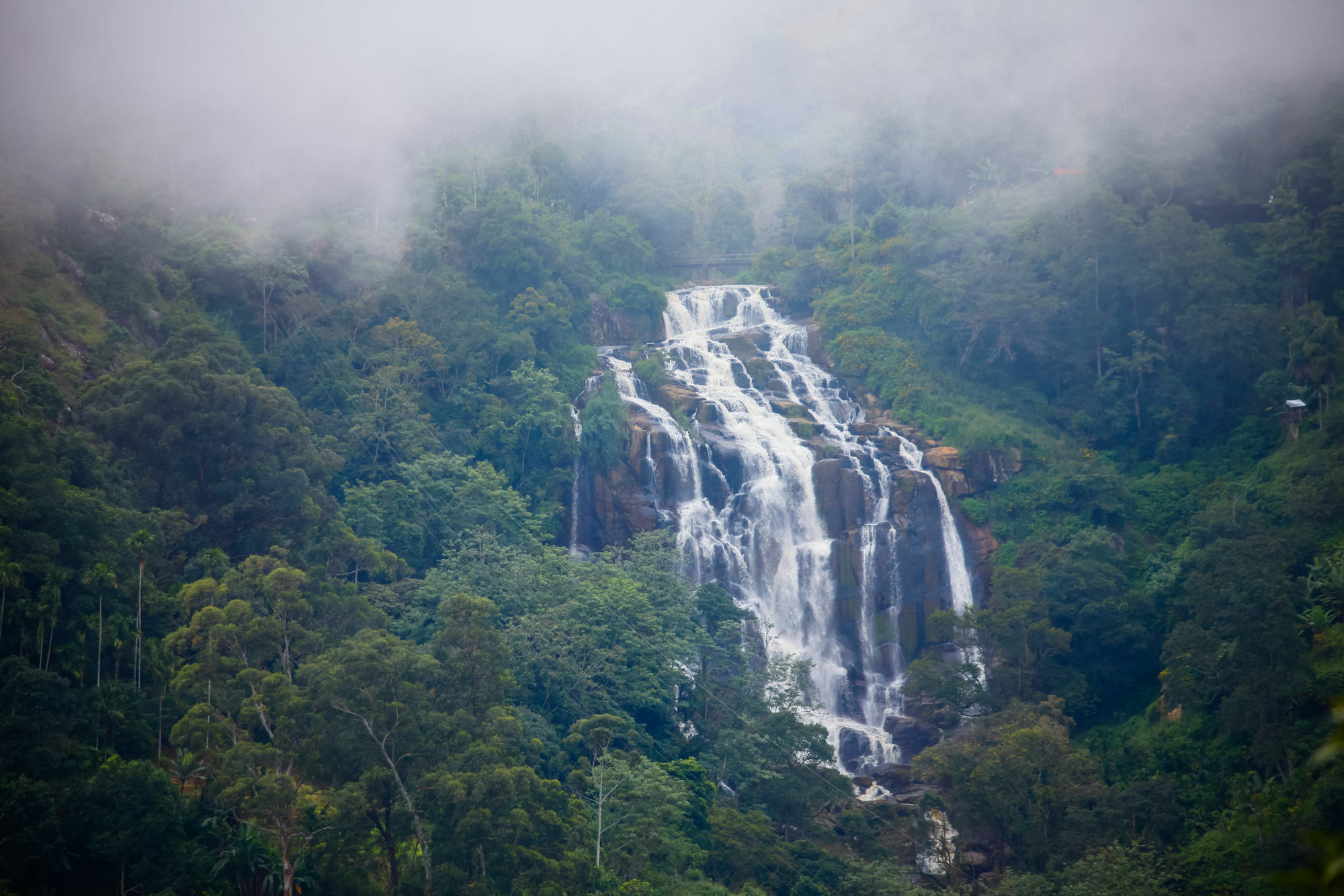 Ella Ecolodge Luaran gambar