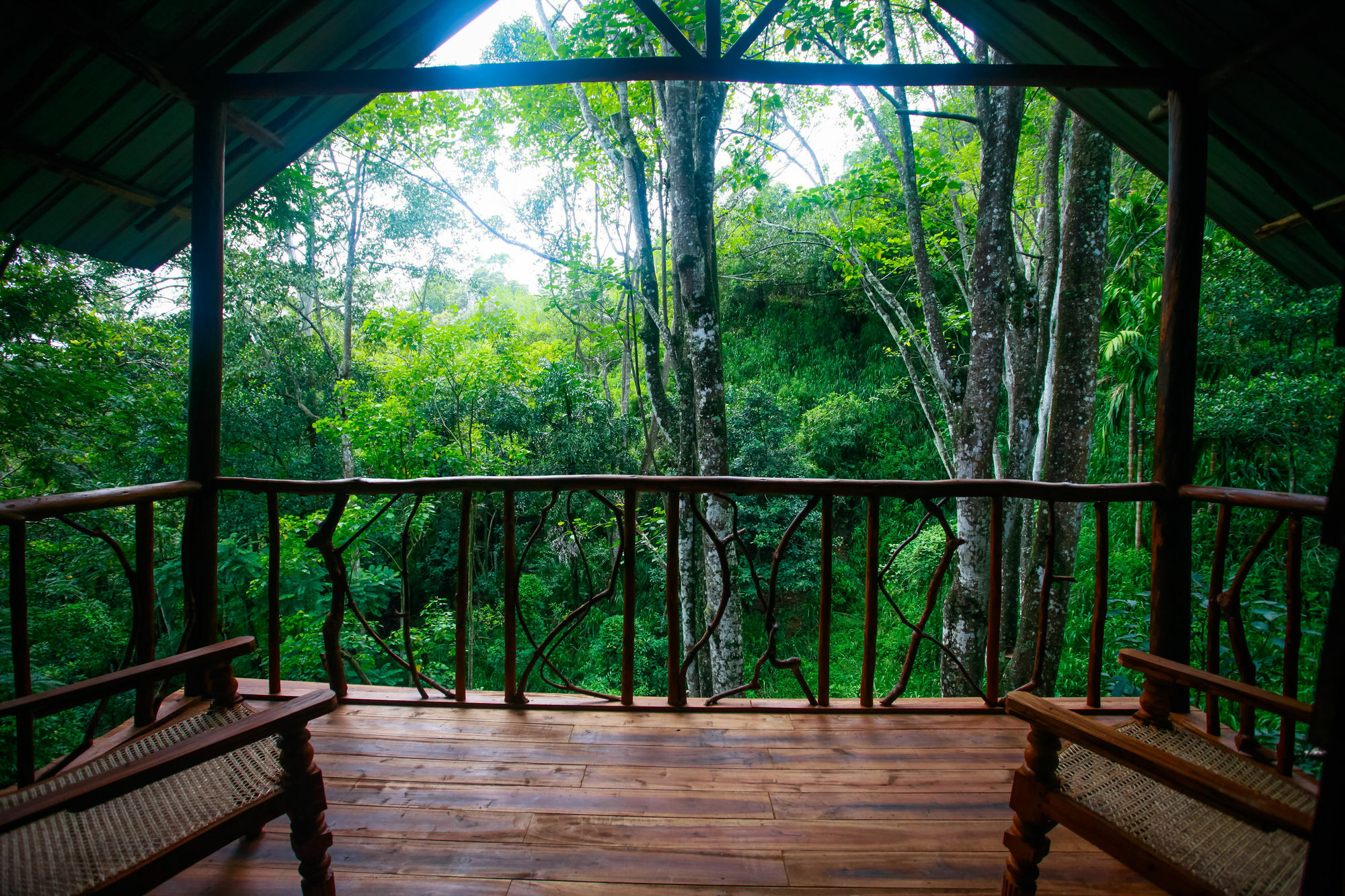 Ella Ecolodge Luaran gambar