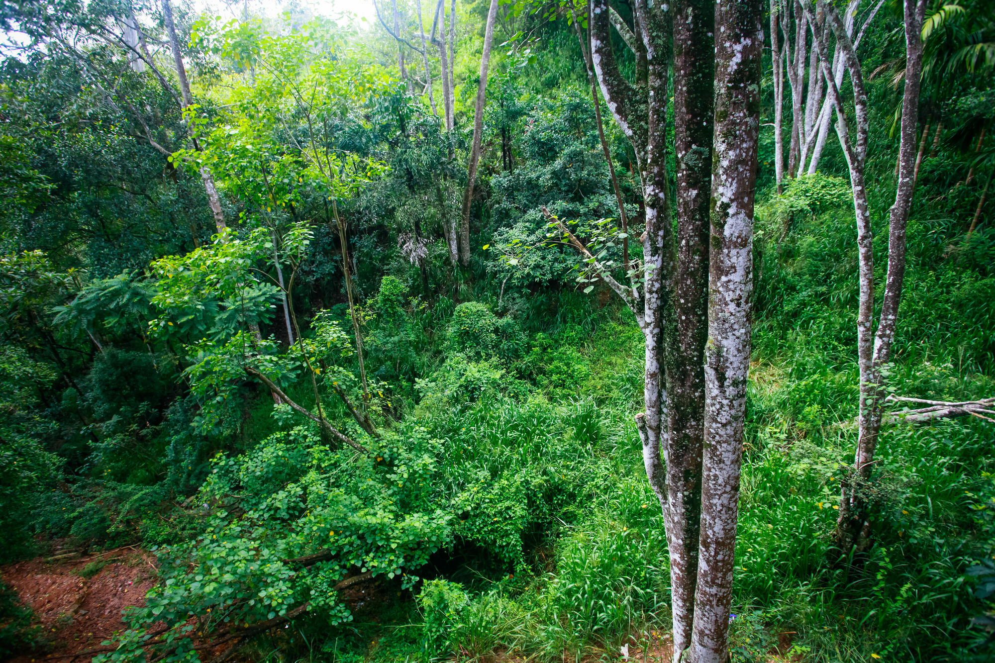 Ella Ecolodge Luaran gambar